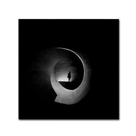 Trademark Fine Art Radin Badrnia 'In Permanent Void' Canvas Art, 24x24 1X03731-C2424GG